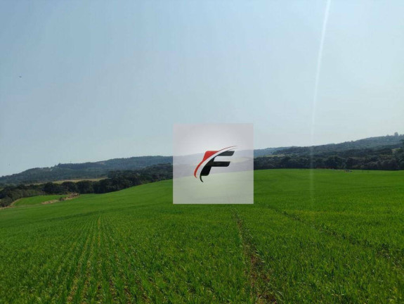 Imagem Fazenda à Venda, 847.000 m² em Centro - Lapa Imagem Fazenda à Venda, 847.000 m² em Centro - Lapa