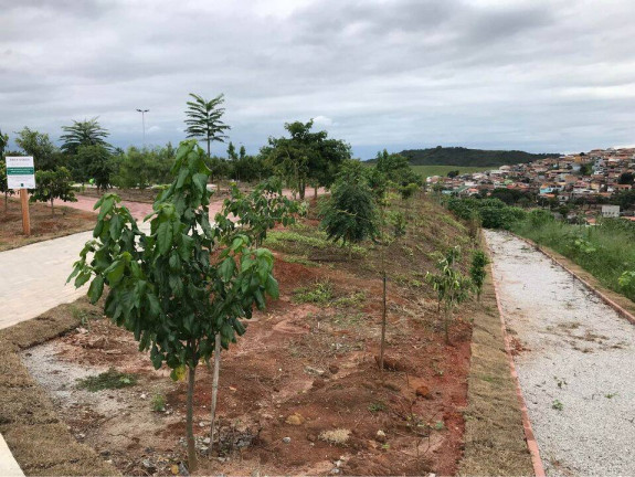 Imagem Terreno à Venda, 250 m² em Jardim Belle Ville - Taubaté Imagem Terreno à Venda, 250 m² em Jardim Belle Ville - Taubaté