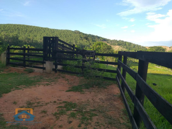 Imagem Fazenda à Venda, 55.000 m² em Bom Jesus Do Bagre - Belo Oriente Imagem Fazenda à Venda, 55.000 m² em Bom Jesus Do Bagre - Belo Oriente