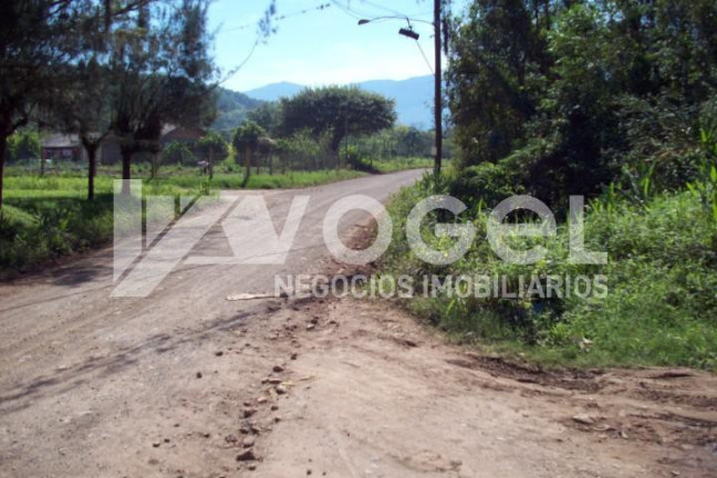 Imagem Imóvel à Venda, 5.000 m² em Três Pinheiros (distrito) - Itati Imagem Imóvel à Venda, 5.000 m² em Três Pinheiros (distrito) - Itati