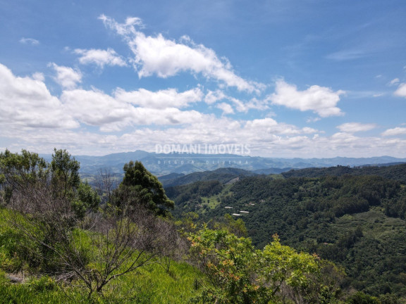 Imagem Imóvel com 2 Quartos à Venda, 1.360 m² em Região Do Toriba - Campos Do Jordão Imagem Imóvel com 2 Quartos à Venda, 1.360 m² em Região Do Toriba - Campos Do Jordão