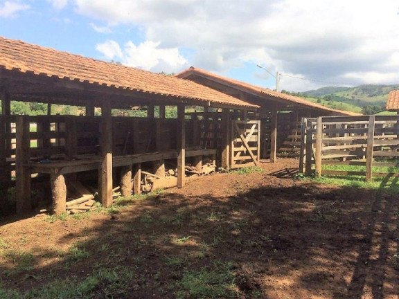 Imagem Imóvel com 3 Quartos à Venda, 448.000 m² em Roseta - Cambuí Imagem Imóvel com 3 Quartos à Venda, 448.000 m² em Roseta - Cambuí
