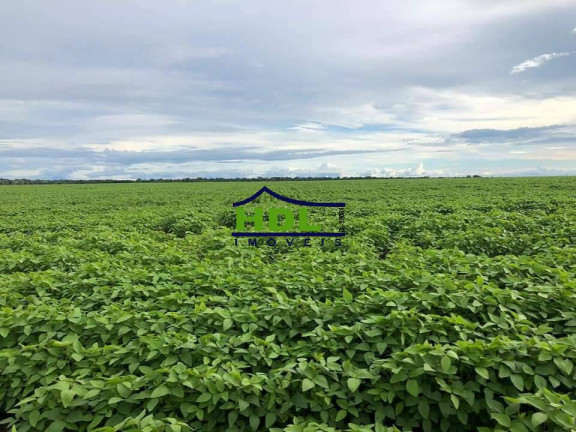 Imagem Fazenda à Venda, em Zona Rural - Confresa Imagem Fazenda à Venda, em Zona Rural - Confresa