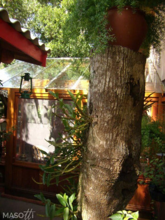 Imagem Casa com 3 Quartos à Venda, 245 m² em Mato Queimado - Gramado