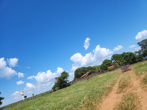 Imagem Fazenda à Venda, 800 m² em Zona Rural - Santo Antônio Do Aracanguá Imagem Fazenda à Venda, 800 m² em Zona Rural - Santo Antônio Do Aracanguá