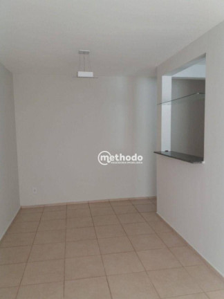 Imagem Apartamento com 3 Quartos à Venda, 66 m² em Jardim Nova Europa - Campinas Imagem Apartamento com 3 Quartos à Venda, 66 m² em Jardim Nova Europa - Campinas