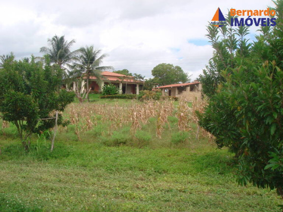 Imagem Fazenda à Venda, 443 m² em Guanaces - Cascavel Imagem Fazenda à Venda, 443 m² em Guanaces - Cascavel