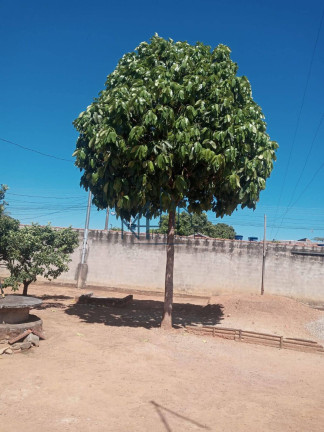 Imagem Casa com 1 Quarto à Venda, 600 m² em Jardim Das Cascatas - Aparecida De Goiânia