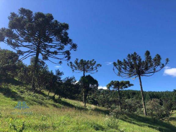 Imagem Terreno à Venda, 39.000 m² em Zona Rural - Bom Retiro Imagem Terreno à Venda, 39.000 m² em Zona Rural - Bom Retiro