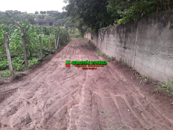 Imagem Chácara à Venda, 1.290 m² em Jardim Santa Hermínia - São José Dos Campos