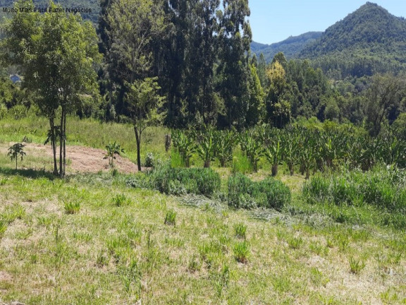 Terreno à Venda, 6.942 m² em Picada Café - Picada Café