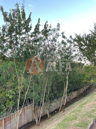 Imagem Apartamento com 2 Quartos à Venda, 38 m² em Jardim Petrópolis - Cotia Imagem Apartamento com 2 Quartos à Venda, 38 m² em Jardim Petrópolis - Cotia