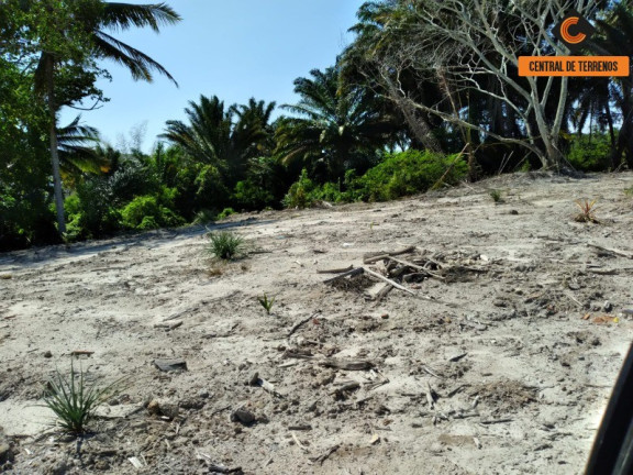 Imagem Terreno à Venda, 20.000 m² em Caji - Lauro De Freitas Imagem Terreno à Venda, 20.000 m² em Caji - Lauro De Freitas