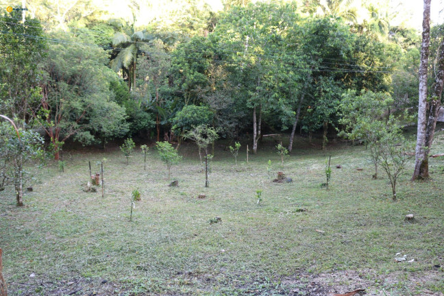 Imagem Fazenda à Venda, 72.924 m² em Sul Do Rio - Santo Amaro Da Imperatriz Imagem Fazenda à Venda, 72.924 m² em Sul Do Rio - Santo Amaro Da Imperatriz