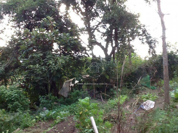 Imagem Fazenda à Venda ou Locação, 300 m² em Aranha - Brumadinho Imagem Fazenda à Venda ou Locação, 300 m² em Aranha - Brumadinho