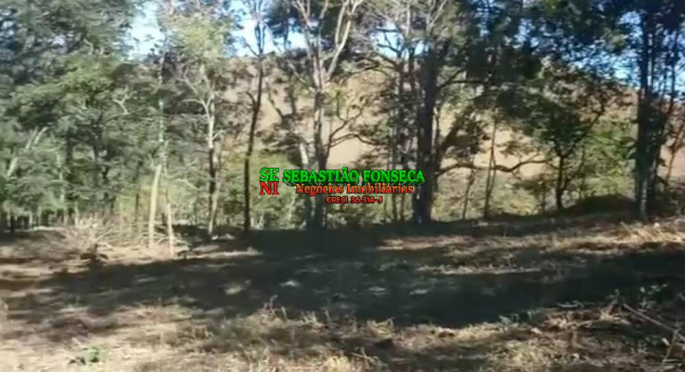 Chácara à Venda, 30 m² em Souza - Monteiro Lobato