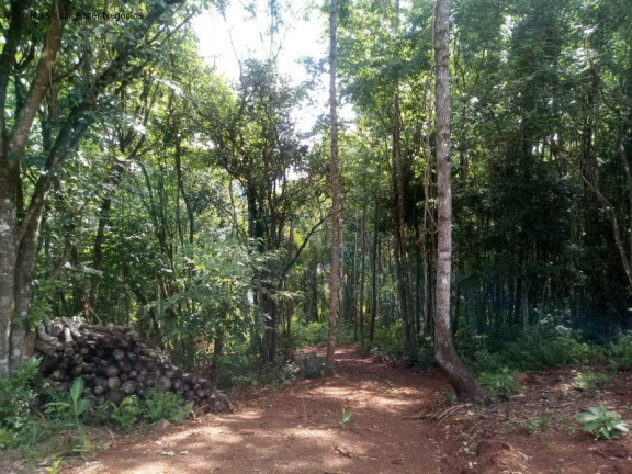 Imagem Terreno à Venda, 3 m² em Linha Pirajá Alta - Nova Petrópolis