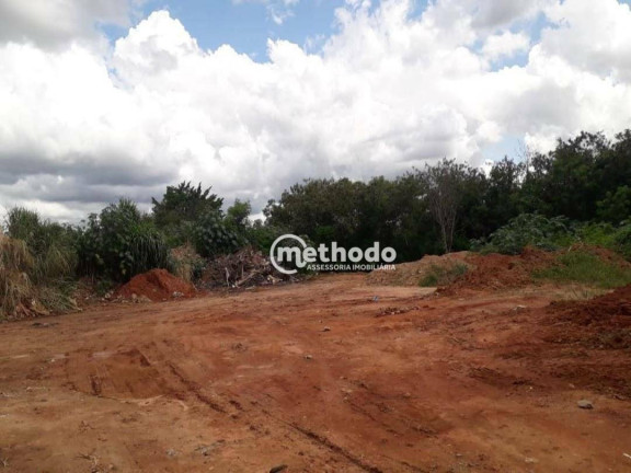 Imagem Terreno à Venda ou Locação, 1.900 m² em Parque Rural Fazenda Santa Cândida - Campinas Imagem Terreno à Venda ou Locação, 1.900 m² em Parque Rural Fazenda Santa Cândida - Campinas