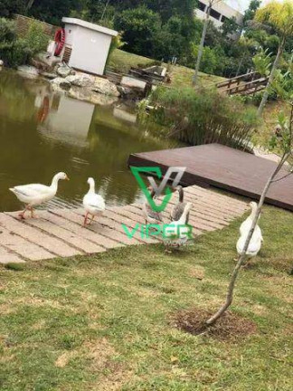 Imagem Apartamento com 2 Quartos à Venda, 46 m² em Colônia Rio Grande - São José Dos Pinhais