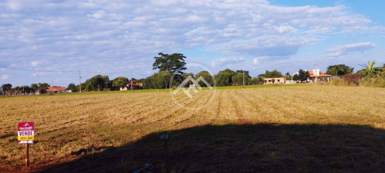 Fazenda à Venda,  em Estância Favoreto - Sertanópolis