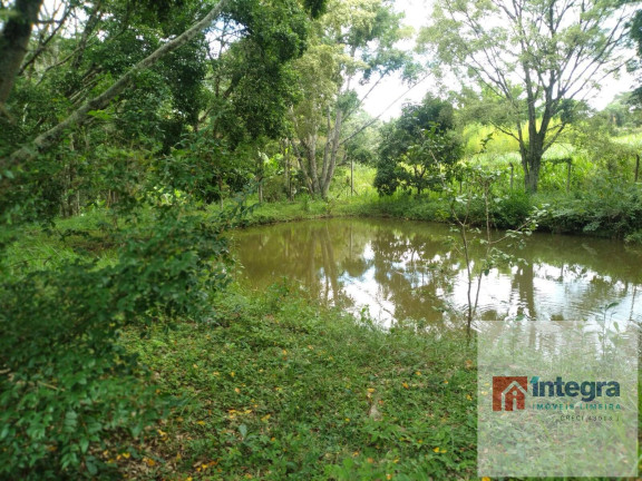 Imagem Chácara com 6 Quartos à Venda, 750 m² em Jardim Nova Limeira - Limeira Imagem Chácara com 6 Quartos à Venda, 750 m² em Jardim Nova Limeira - Limeira