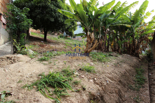 Imagem Terreno à Venda, 374 m² em Palmares - 1ª Seção (parque Durval De Barros) - Ibirité