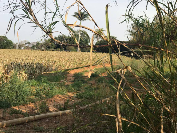 Imagem Terreno à Venda, 253.072 m² em Zona Rural - Araçoiaba Da Serra Imagem Terreno à Venda, 253.072 m² em Zona Rural - Araçoiaba Da Serra