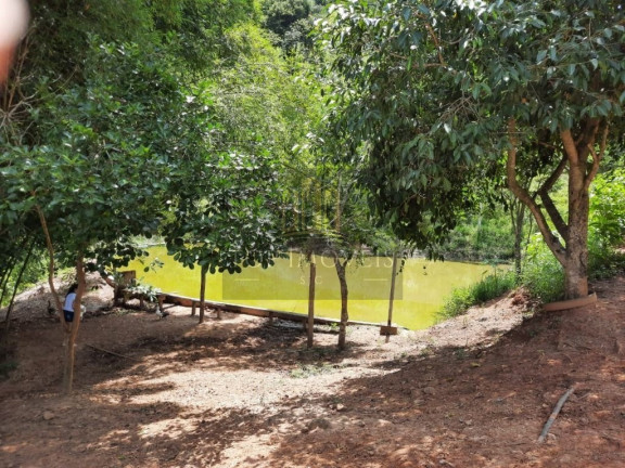 Imagem Chácara com 3 Quartos à Venda, 229 m² em Centro - Santa Branca Imagem Chácara com 3 Quartos à Venda, 229 m² em Centro - Santa Branca
