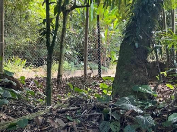 Imagem Terreno à Venda, 1.100 m² em Praia Do Felix - Ubatuba Imagem Terreno à Venda, 1.100 m² em Praia Do Felix - Ubatuba