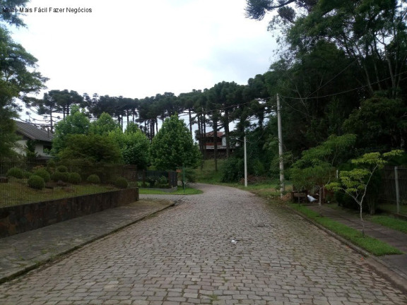 Imagem Casa com 4 Quartos à Venda, 280 m² em Sinoserra - Canela Imagem Casa com 4 Quartos à Venda, 280 m² em Sinoserra - Canela