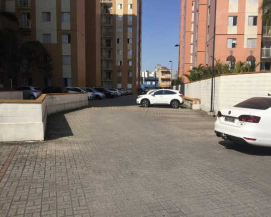 Imagem Apartamento com 2 Quartos à Venda, 48 m² em Cambuci - São Paulo Imagem Apartamento com 2 Quartos à Venda, 48 m² em Cambuci - São Paulo