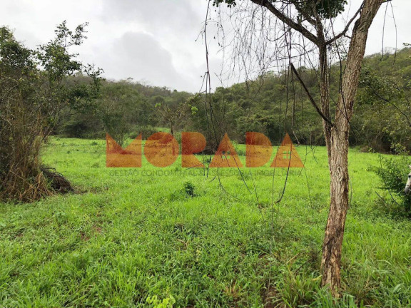 Imagem Fazenda à Venda, 10 m² em Zona Rural - Mundo Novo Imagem Fazenda à Venda, 10 m² em Zona Rural - Mundo Novo