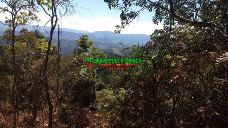Imagem Chácara à Venda, 30.000 m² em Centro - Monteiro Lobato Imagem Chácara à Venda, 30.000 m² em Centro - Monteiro Lobato