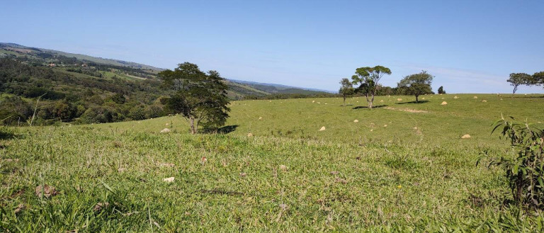Imagem Fazenda à Venda, 1.016 m² em Bairro Dos Leites - Piedade Imagem Fazenda à Venda, 1.016 m² em Bairro Dos Leites - Piedade