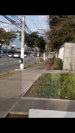 Imagem Apartamento com 3 Quartos à Venda, 71 m² em Santo Amaro - São Paulo