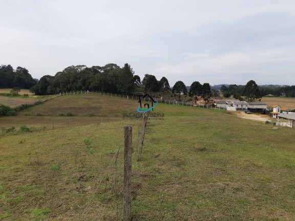 Imagem Imóvel à Venda, 346 m² em Jardim Veneza - Campo Magro Imagem Imóvel à Venda, 346 m² em Jardim Veneza - Campo Magro