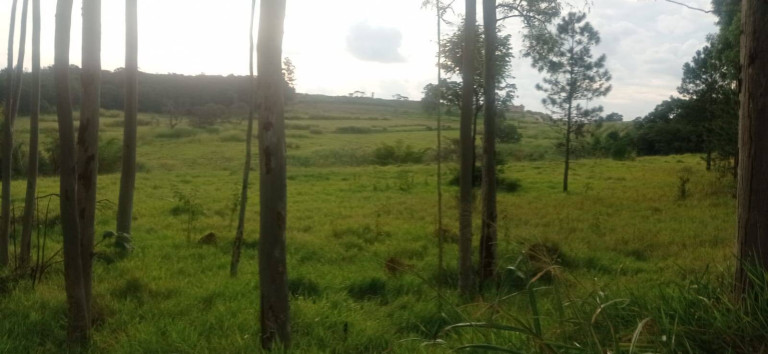 Imagem Terreno à Venda, 70.000 m² em Residencial água Doce - Jundiaí
