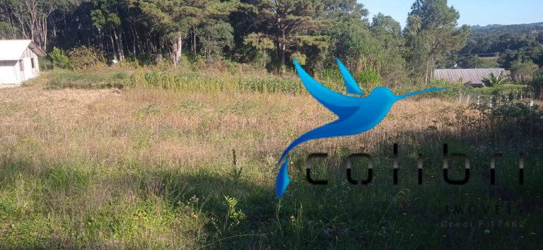 Imagem Chácara com 2 Quartos à Venda, 6.655 m² em Taboão - Agudos Do Sul