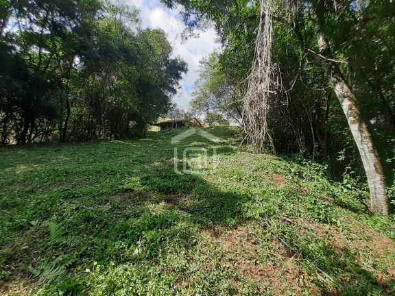 Imagem Imóvel com 2 Quartos à Venda, 7.000 m² em Pião (rural) - Campestre