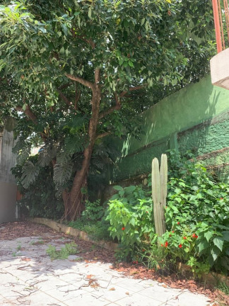 Imagem Casa com 3 Quartos à Venda ou Locação, 250 m² em Vila Mariana - São Paulo