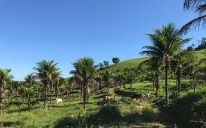 Imóvel com 2 Quartos à Venda, 717.000 m² em Comunidade Urbana De Jaboti - Guarapari