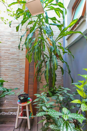 Imagem Casa com 3 Quartos à Venda, 102 m² em Hípica - Porto Alegre