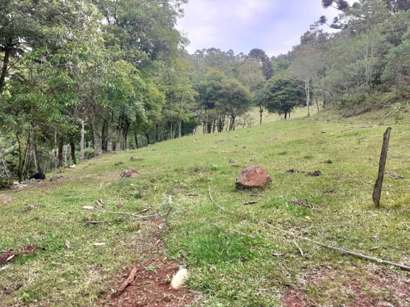 Imagem Chácara com 4 Quartos à Venda, 130.000 m² em Linha Santa Cruz - Santa Cruz Do Sul Imagem Chácara com 4 Quartos à Venda, 130.000 m² em Linha Santa Cruz - Santa Cruz Do Sul