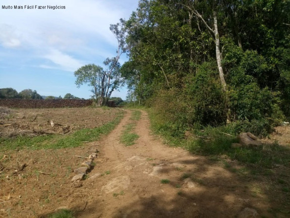 Imagem Terreno à Venda, 4 m² em Pinhal Alto - Nova Petrópolis Imagem Terreno à Venda, 4 m² em Pinhal Alto - Nova Petrópolis
