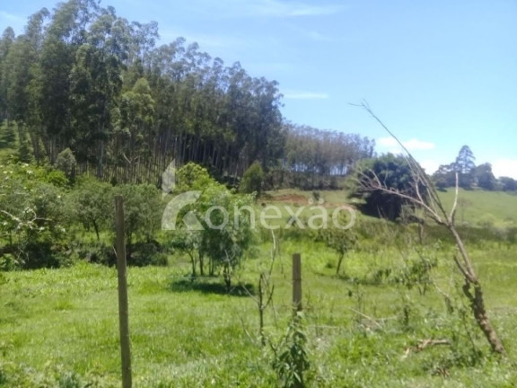 Fazenda à Venda, 200 m² em Centro - Paraibuna