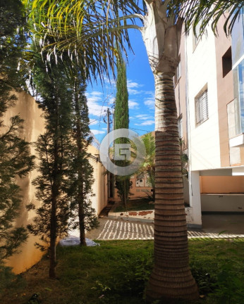 Imagem Apartamento com 2 Quartos à Venda, 55 m² em Todos Os Santos - Montes Claros Imagem Apartamento com 2 Quartos à Venda, 55 m² em Todos Os Santos - Montes Claros
