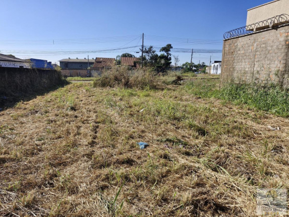 Imagem Terreno à Venda, 505 m² em Cardoso Continuação - Aparecida De Goiânia Imagem Terreno à Venda, 505 m² em Cardoso Continuação - Aparecida De Goiânia