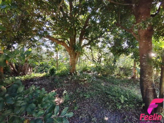 Terreno à Venda, 799 m² em Rio Tavares - Florianópolis