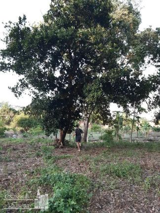 Imagem Terreno à Venda, 43.000 m² em Centro - Jacundá Imagem Terreno à Venda, 43.000 m² em Centro - Jacundá