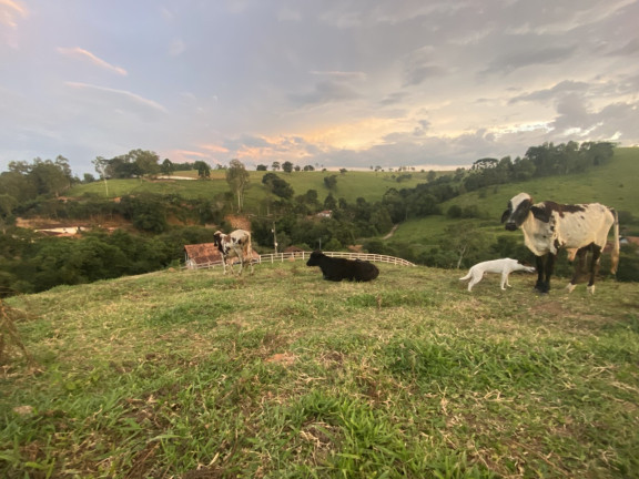 Imagem Imóvel com 2 Quartos à Venda, 10.430 m² em Capituvas - Bandeira Do Sul Imagem Imóvel com 2 Quartos à Venda, 10.430 m² em Capituvas - Bandeira Do Sul